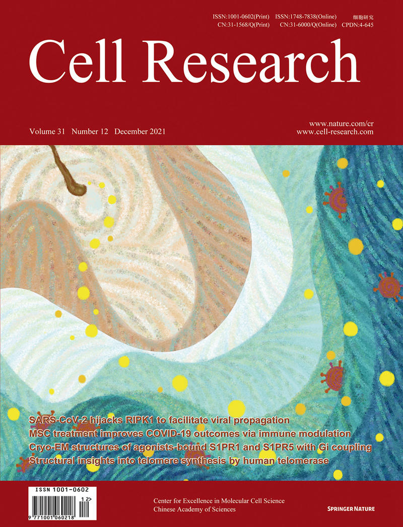 科學之美，躍然紙上——2021年中國卓越科技期刊十大最美封面發布
